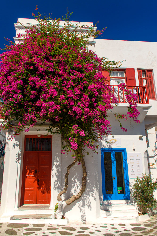 Mykonos Town Harbor, Greece