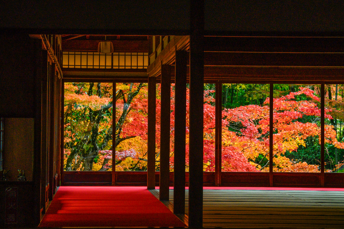 Nanzen-in Temple Autumn, Kyoto