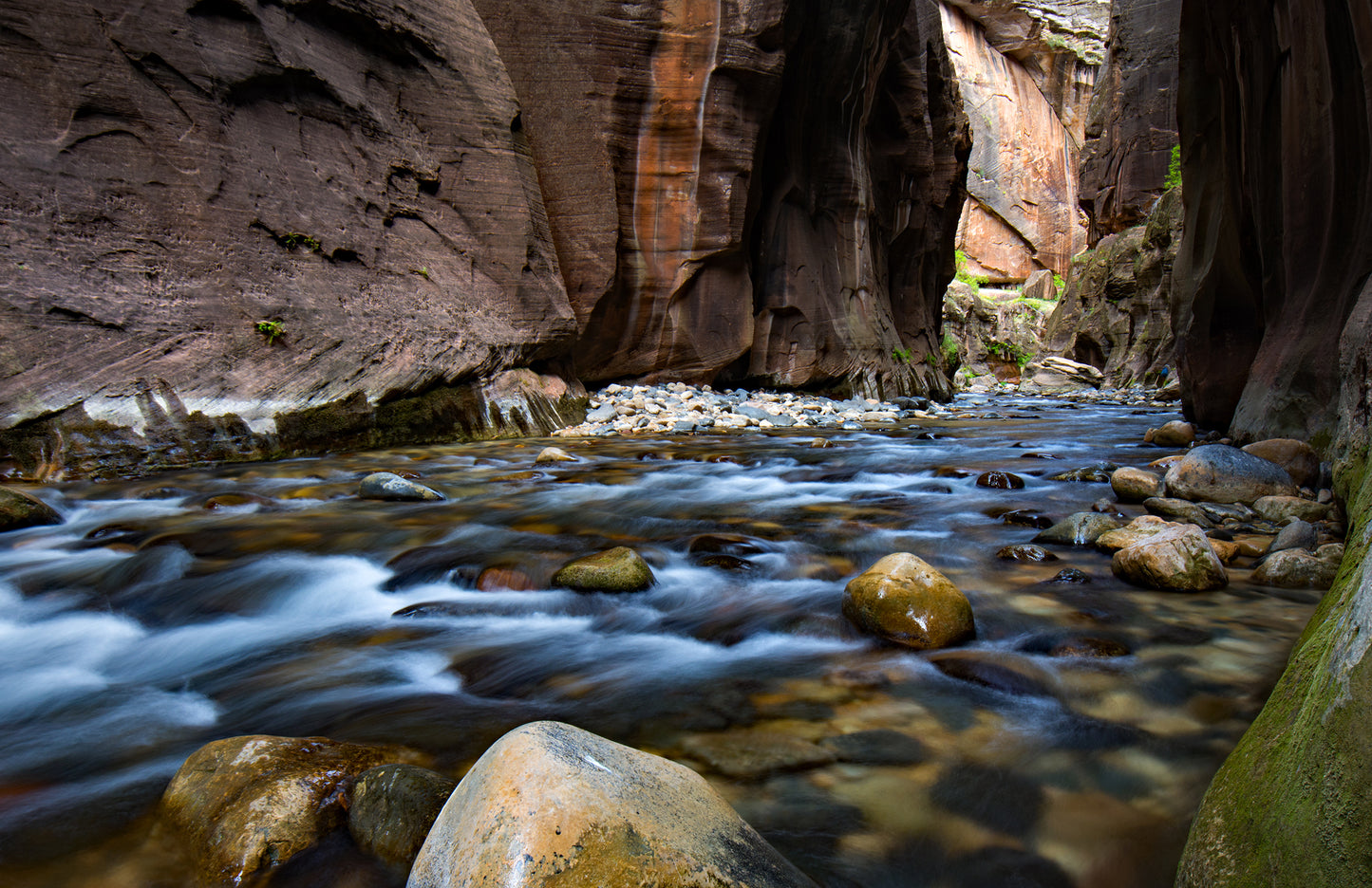 The Narrows, Zion National Park