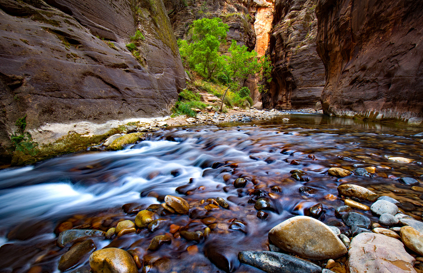 The Narrows, Zion National Park