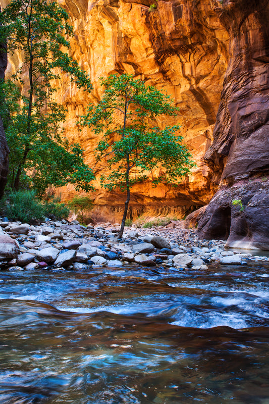 The Narrows Vertical, Zion National Park