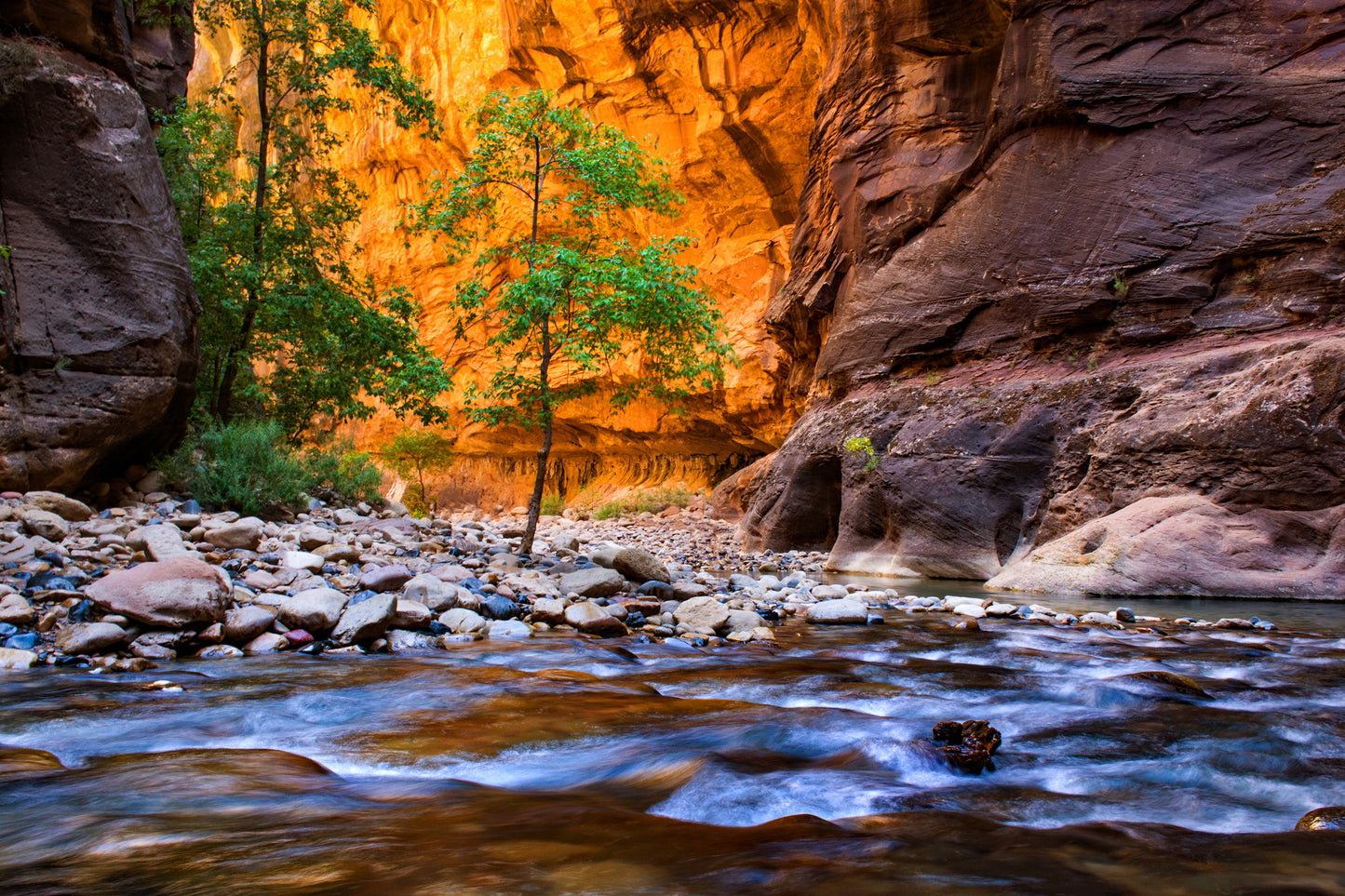 The Narrows, Zion National Park