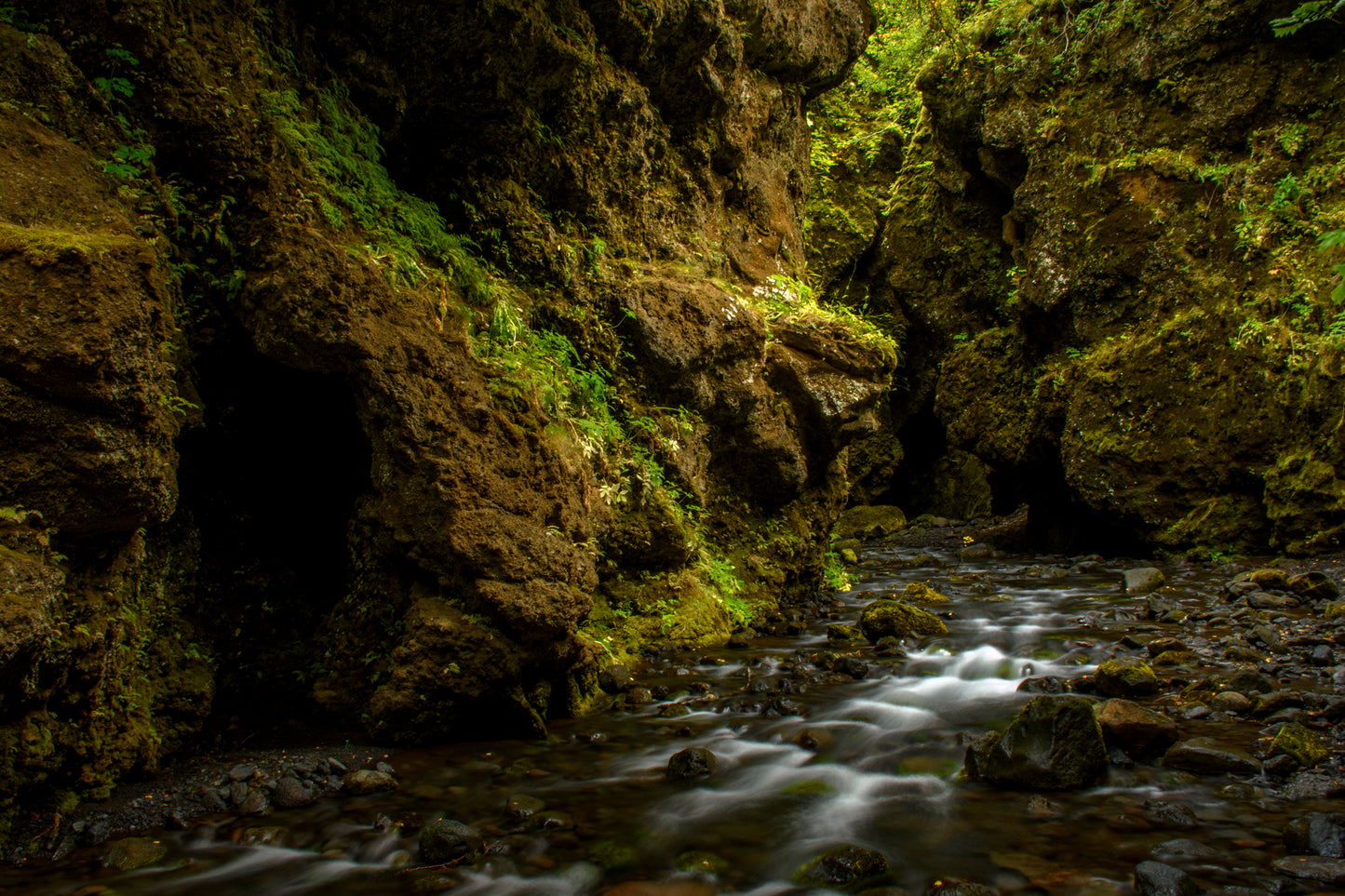 Nauthusagil Gorge, Iceland