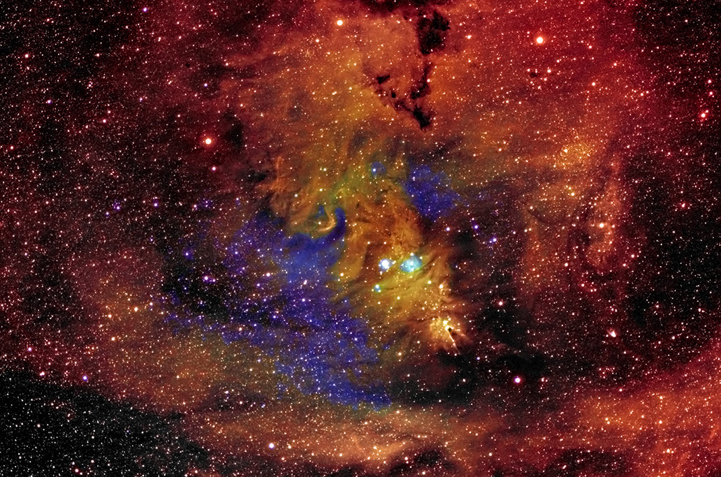 The Cone Nebula