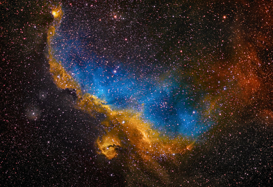The Seagull Nebula