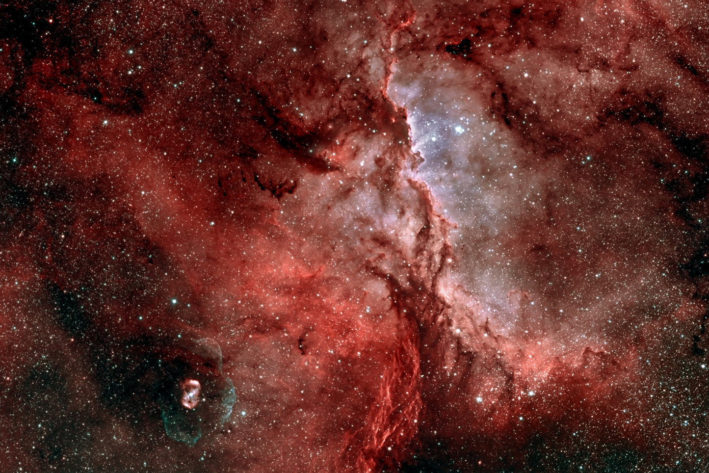 The Fighting Dragon Nebula