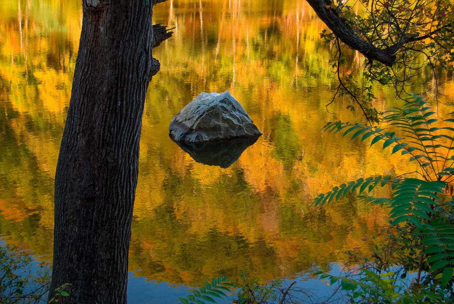 Fall Reflection, Nolichucky River, Tennessee