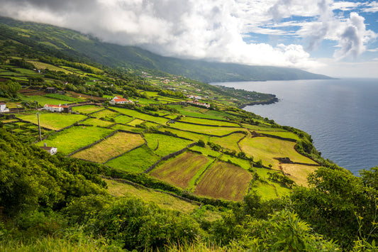 Overlook, Pico, the Azores