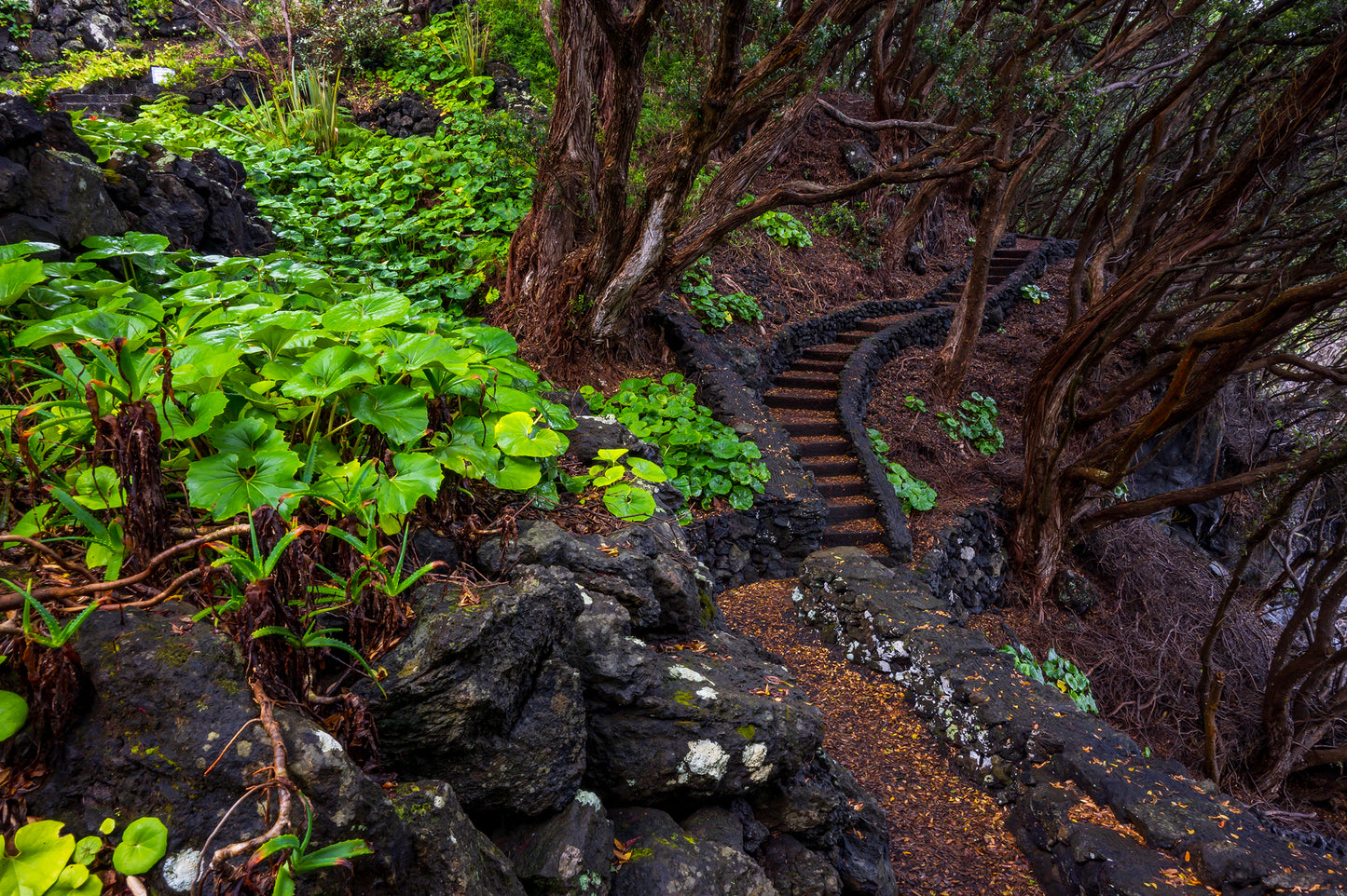 Pico, Azores