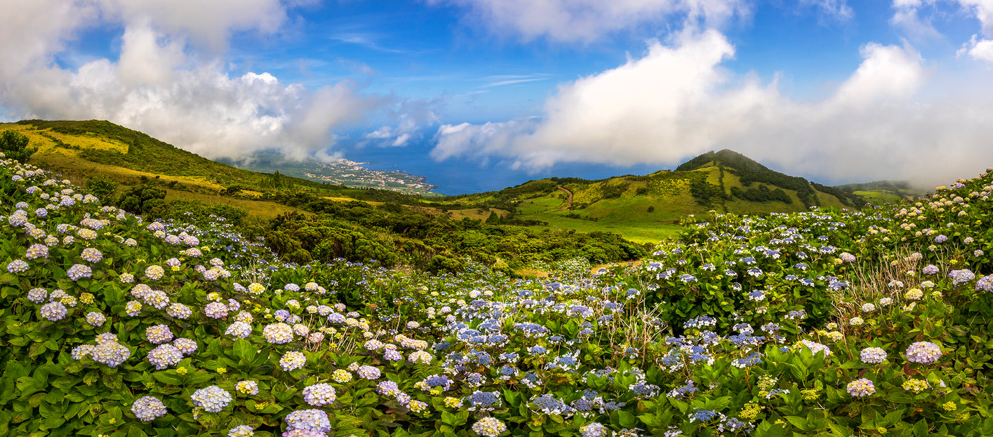 Overlook on Pico, the Azores