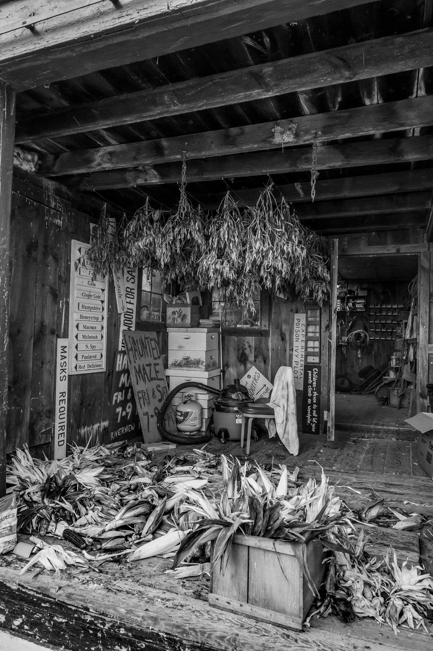 River View Farm, Fall