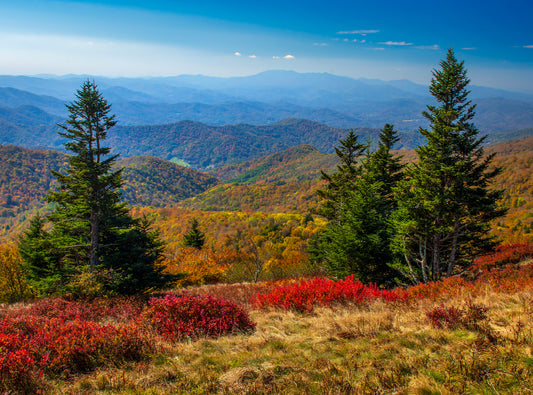The Balds, Roan Mountain State Park, Tennessee