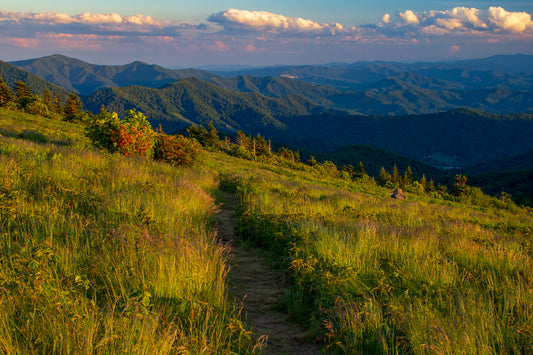 The Balds, Roan Mountain State Park, Tennessee