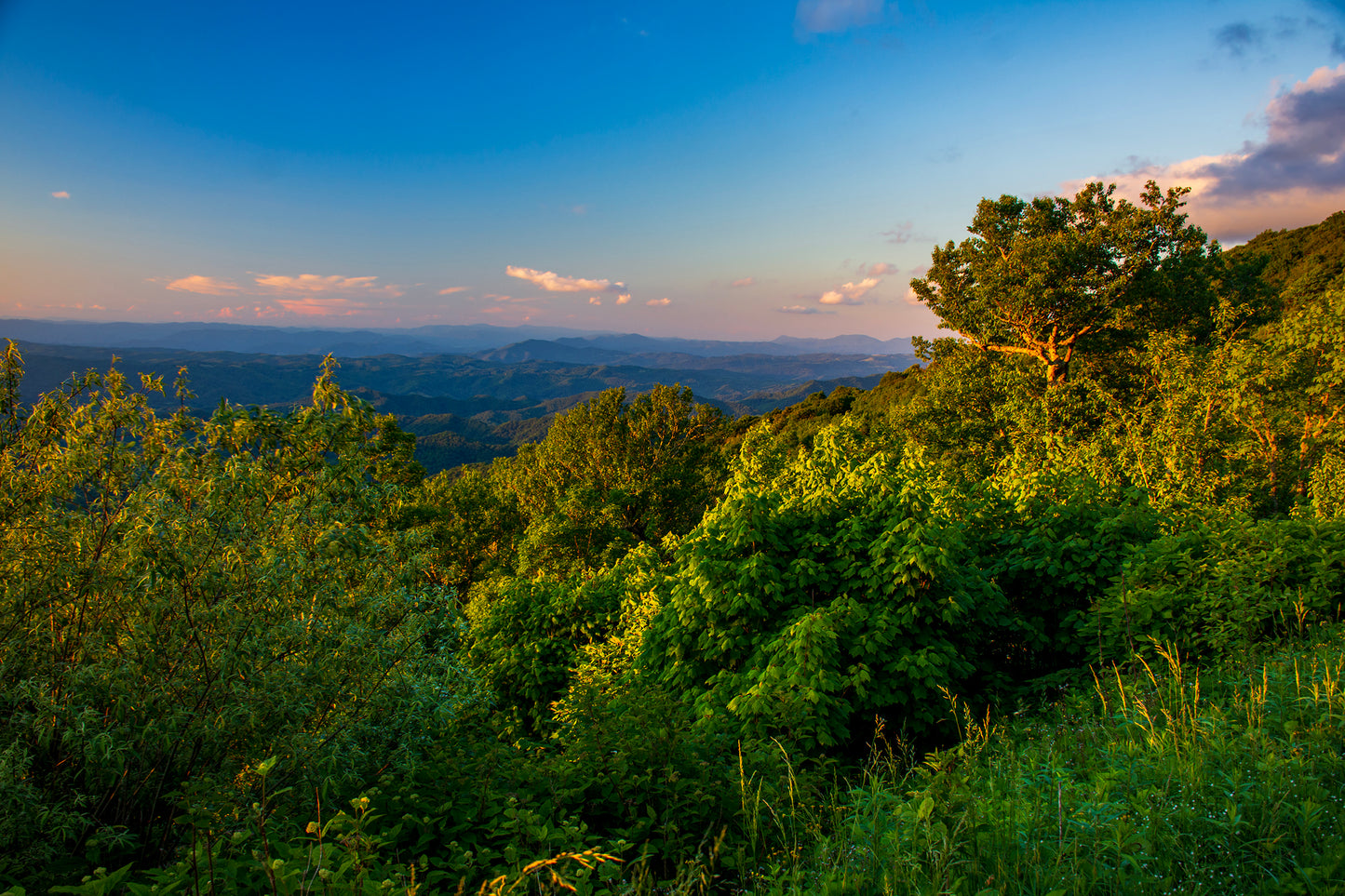Roan Mountain State Park, Tennessee