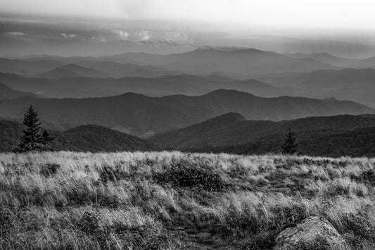 Roan Mountain, Tennessee