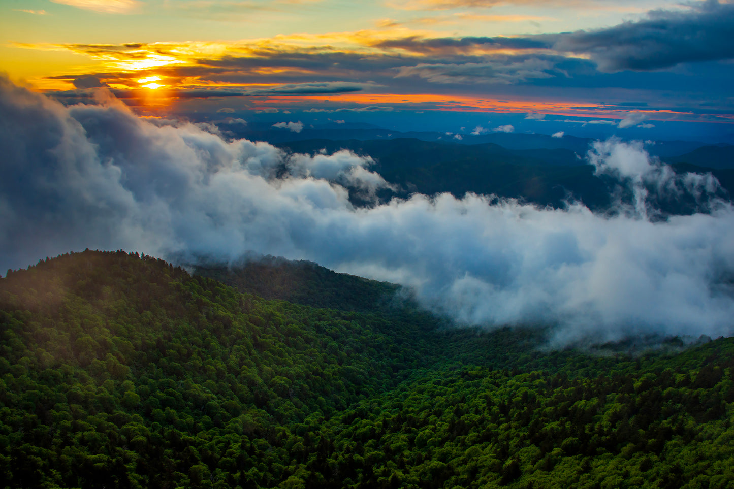 Roan Mountain, Tennessee