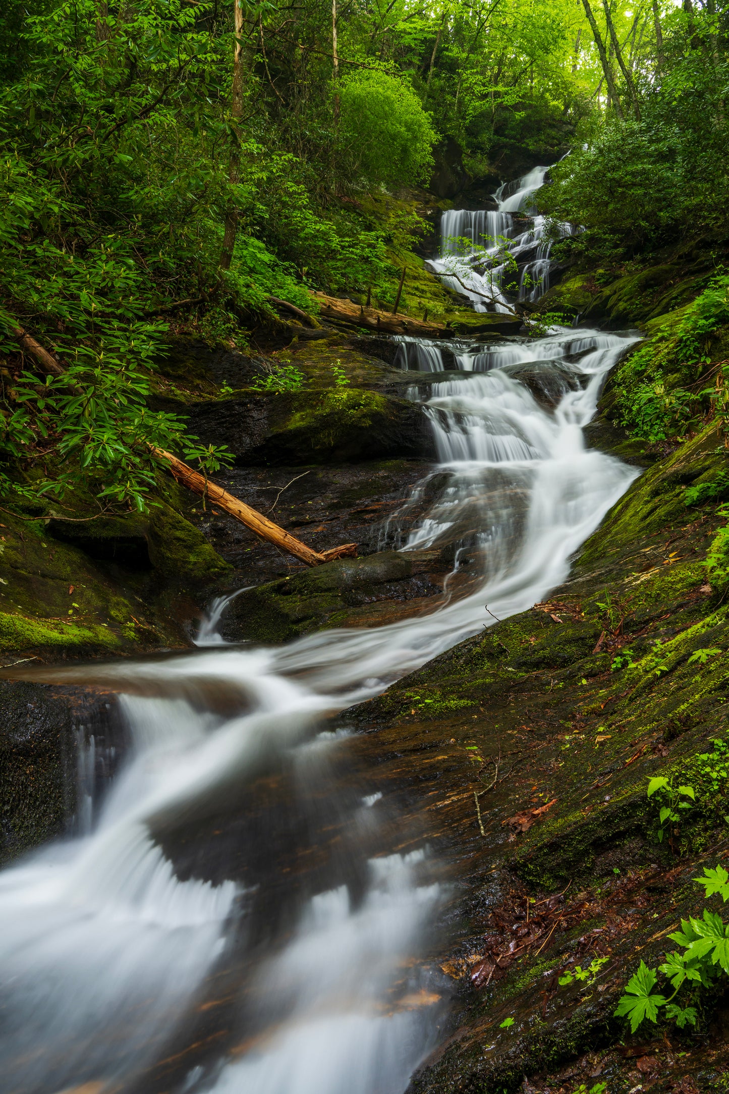 Roaring Fork Falls, North Carolina