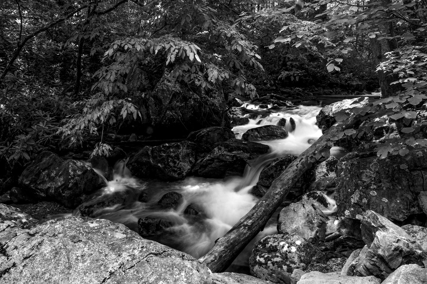 Cascade at Rocky Fork State Park, Tennessee