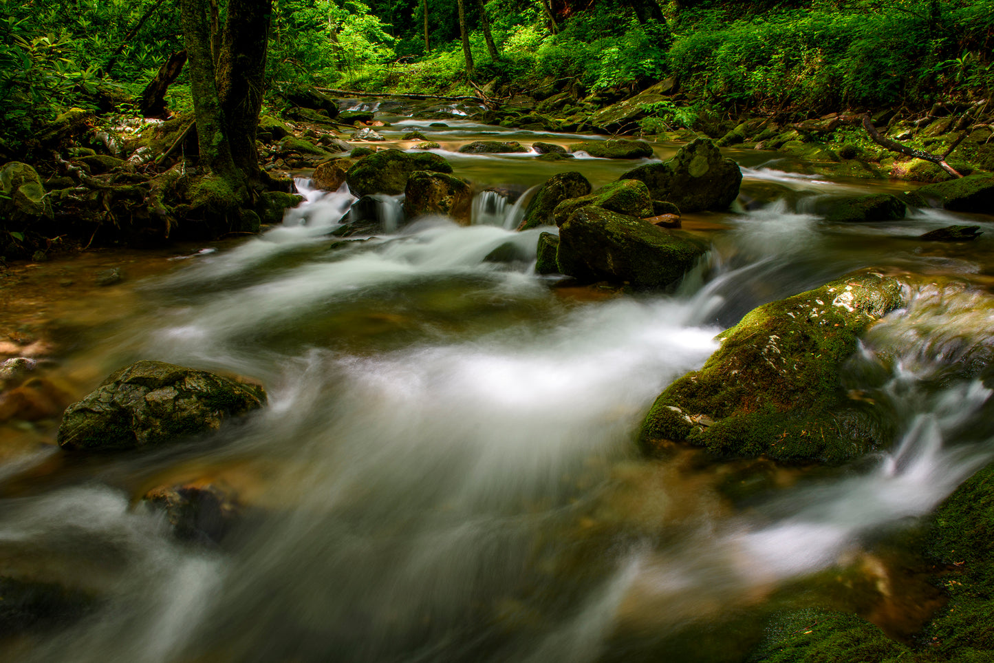 Rocky Fork State Park, Tennessee
