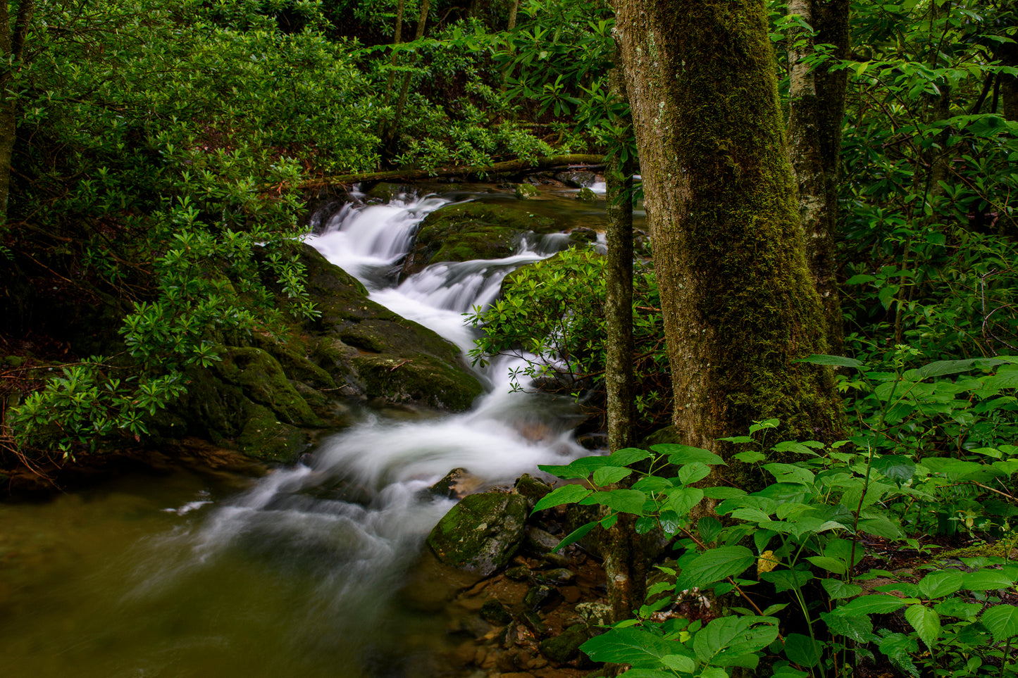 Rocky Fork State Park, Tennessee