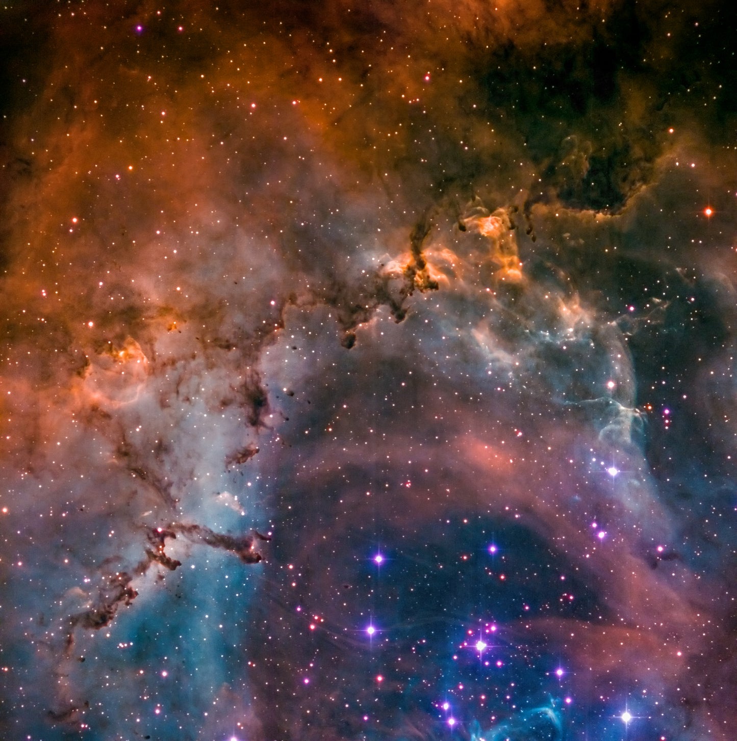 The Rosette Nebula