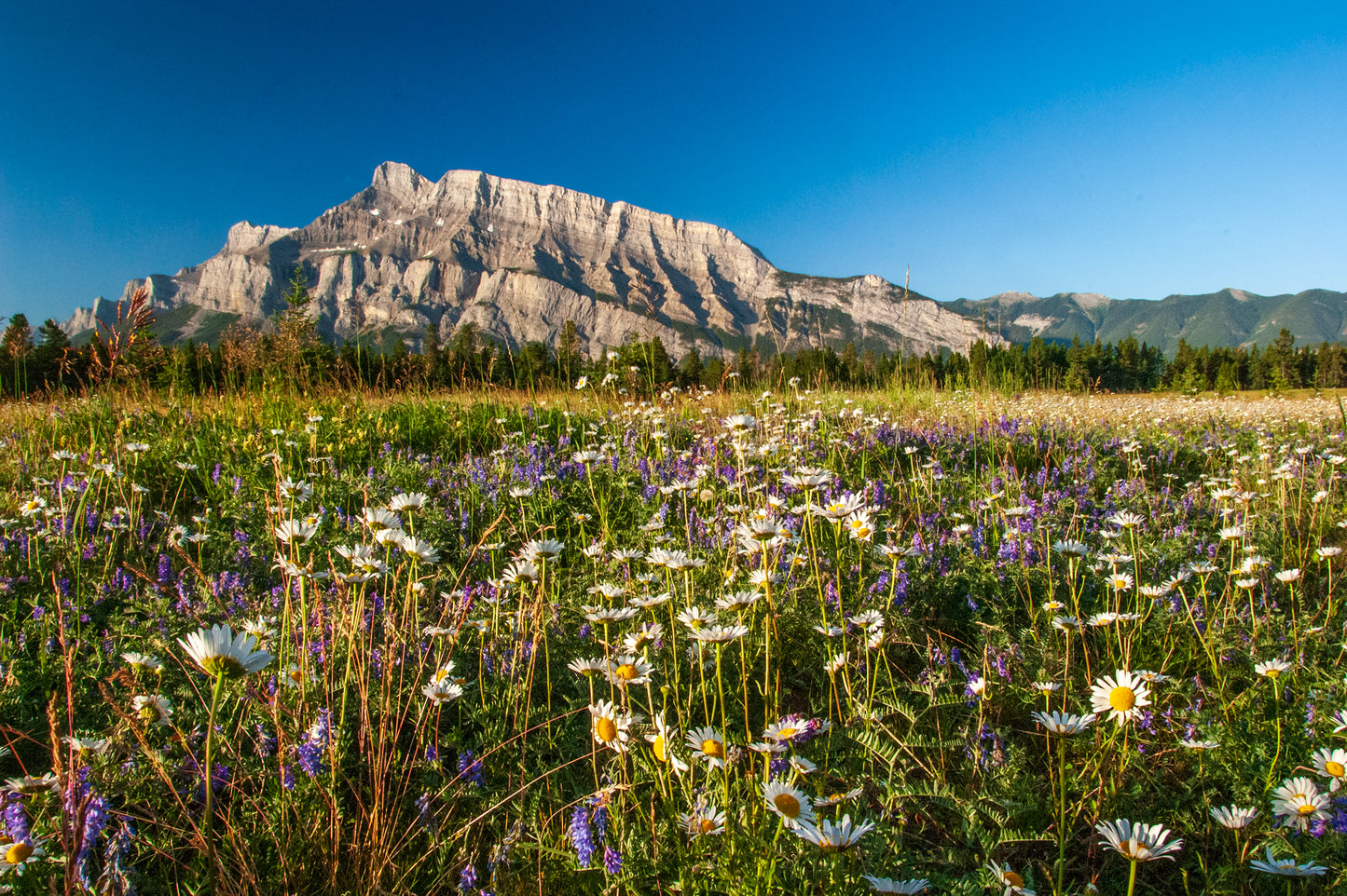 Mount Rundle, Banff, Canada