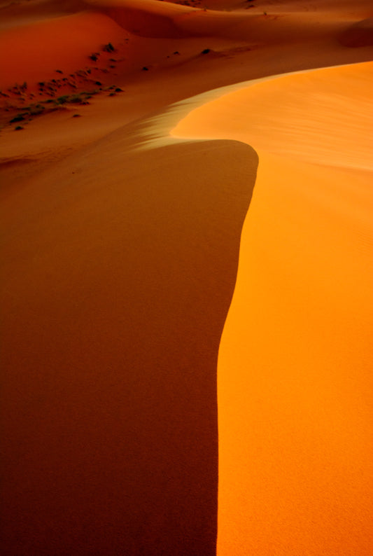 Sand Dunes, Sahara, Morocco