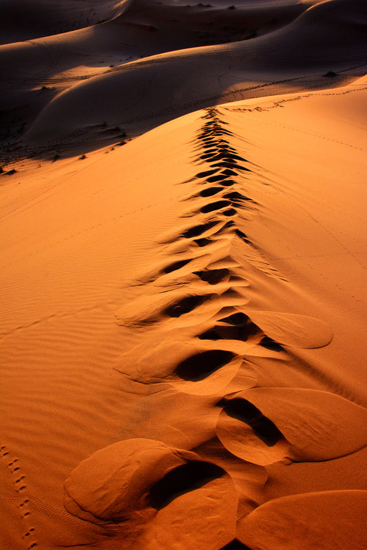 Footsteps in the Sahara, Morocco
