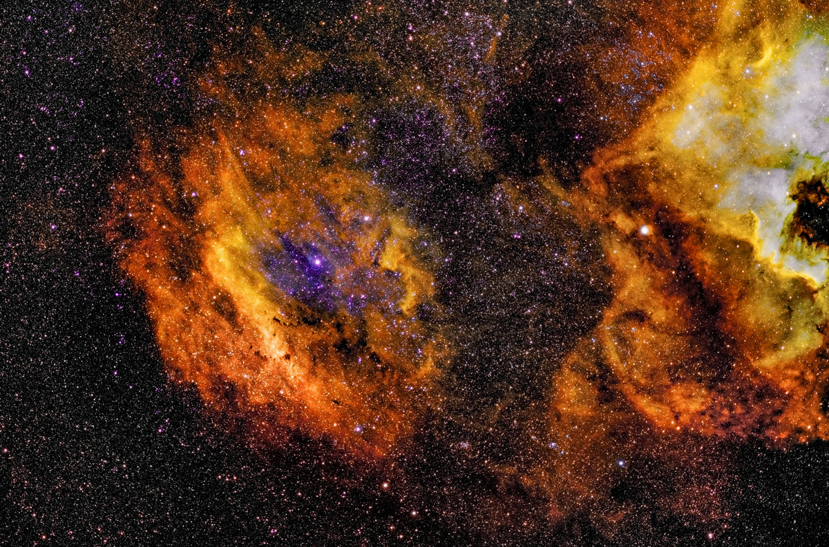 Clamshell Nebula, Sh2-119