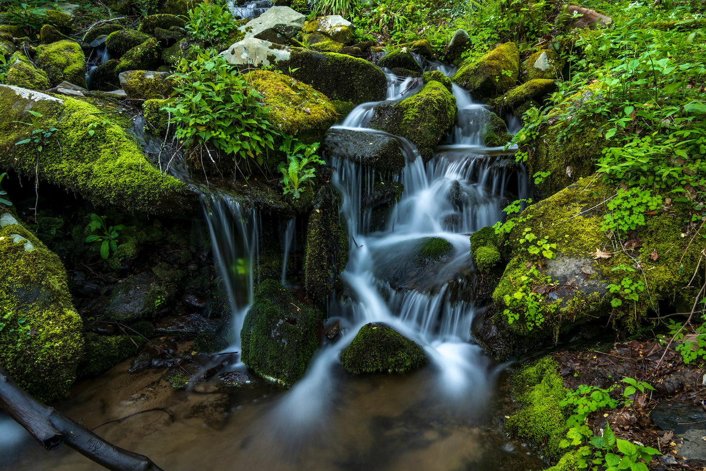 Cascades, Great Smoky Mountains, Tennessee