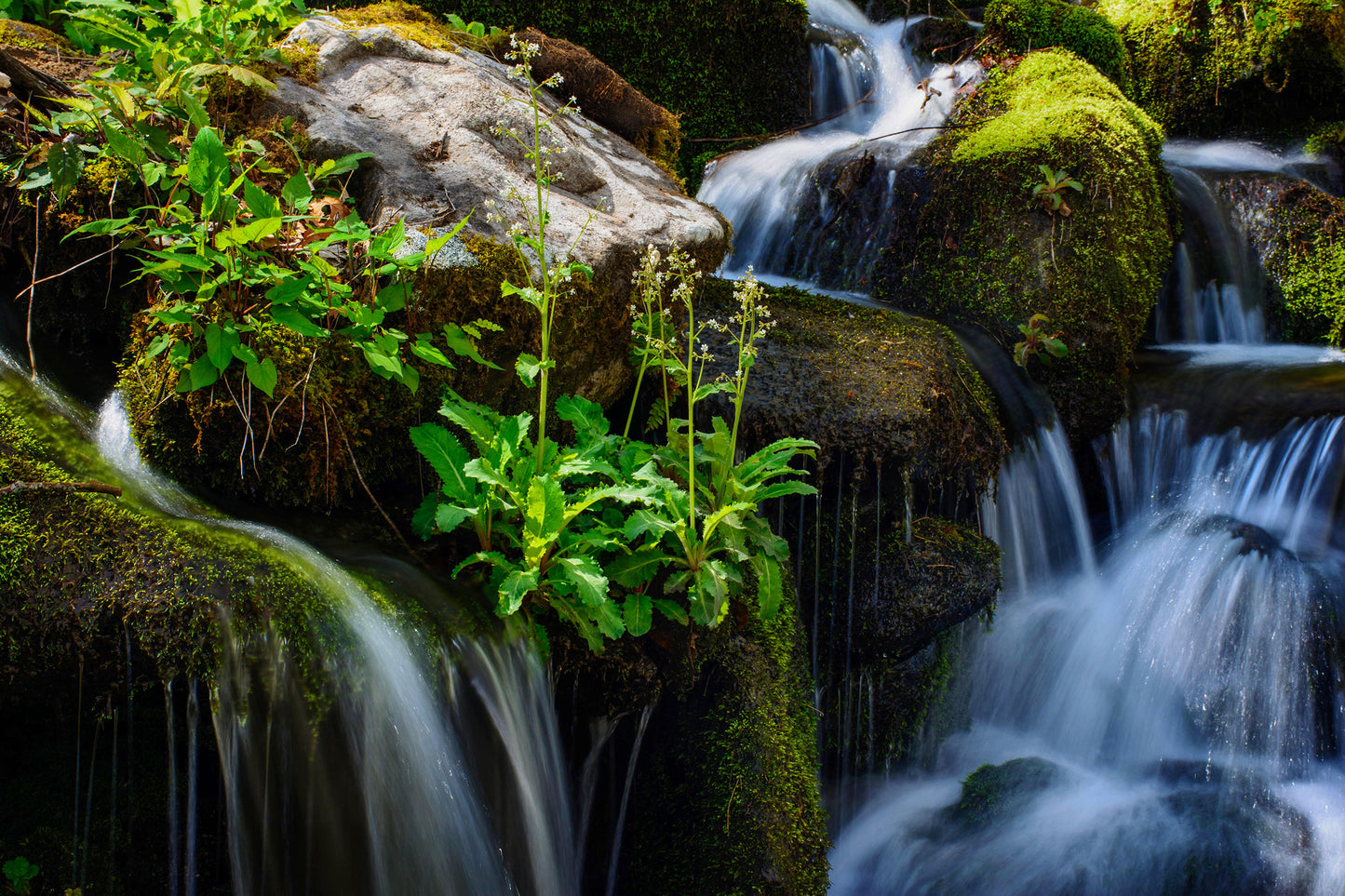 Cascades, Great Smoky Mountains, Tennessee