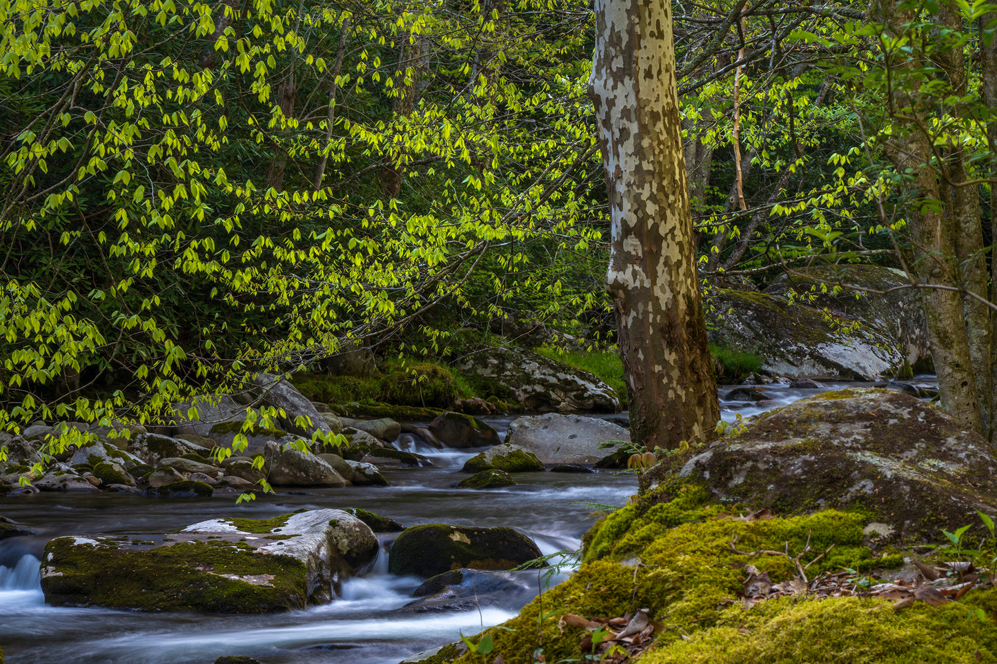 Cascades, Great Smoky Mountains, Tennessee