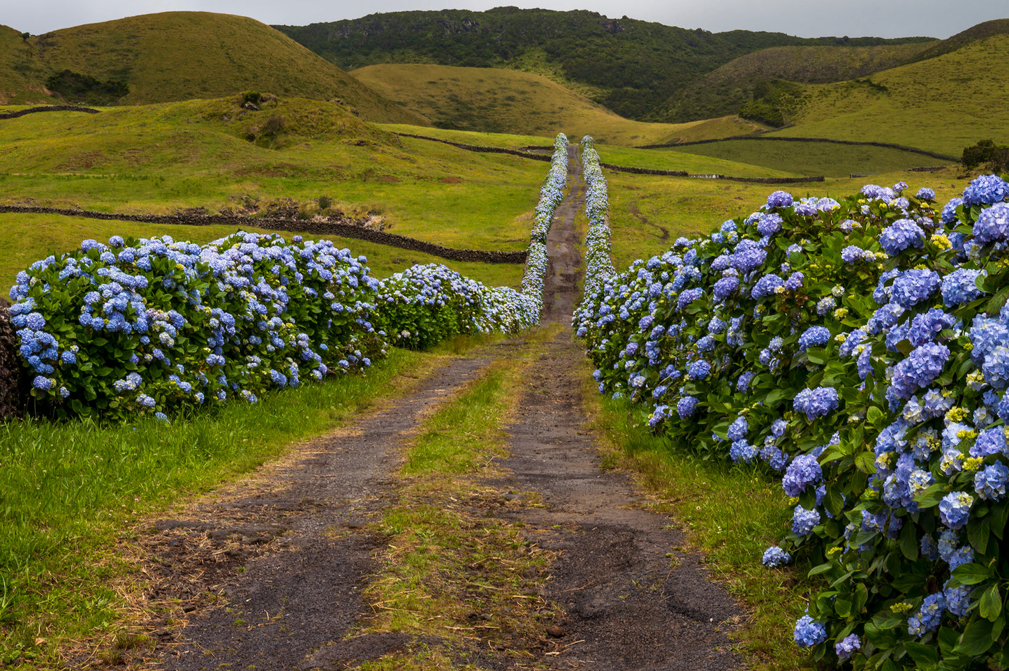 Terciera, The Azores