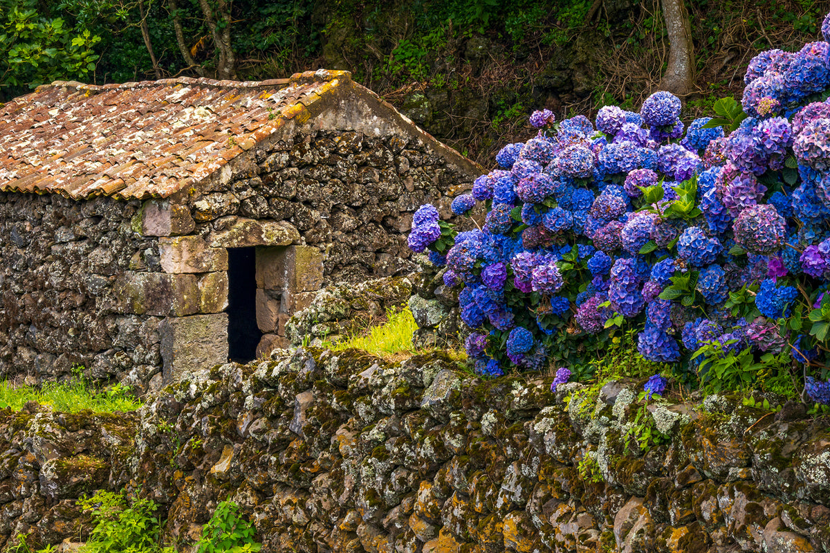 Stone Cottage, Flores, Azores