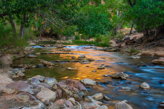 VIrgin River Reflection, Zion National Park