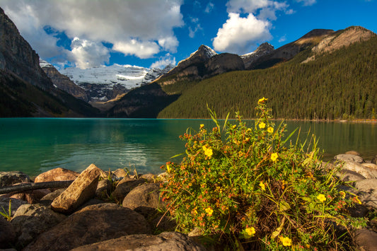 Lake Louise, Banff, Canada