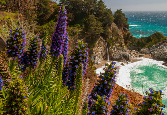 Mcway Cove Falls, Big Sur, California
