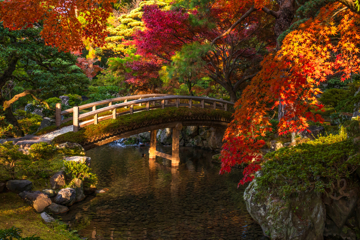 Autumn Bridge in the Kyoto Imperial Palace Garden, Japan