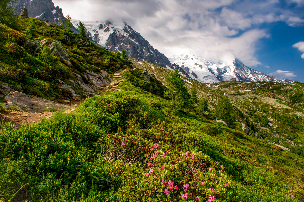 Chamonix Valley, France — Alpine Trai