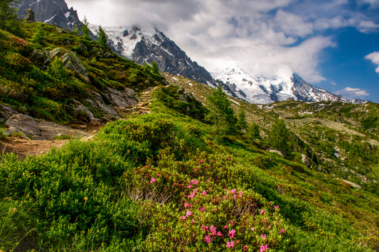 Chamonix Valley, France — Alpine Trai