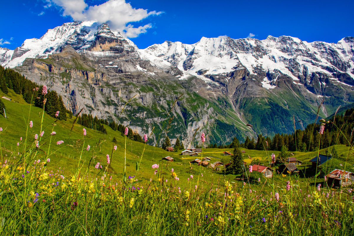 Swiss Alps Mountain Landscape