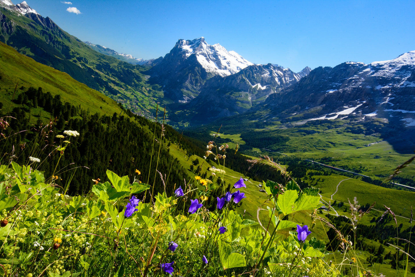 Swiss Alps, Switzerland