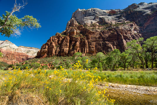 Angel's Landing, Zion National Park