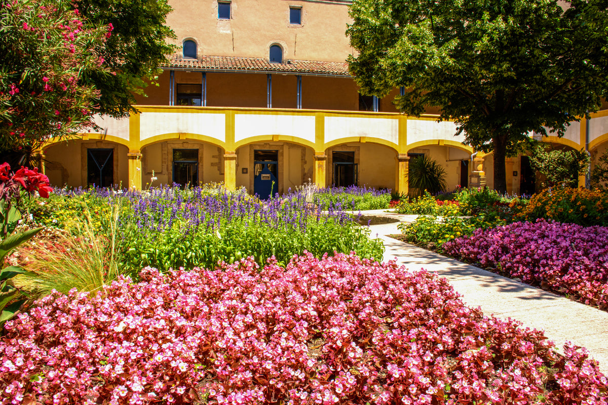 Espace Van Gogh in Arles — Historic Courtyard and Garden, France