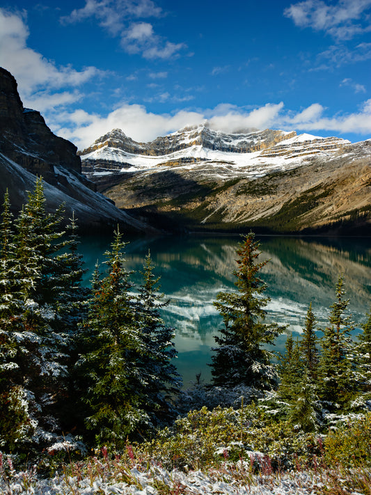 Bow Lake, Banff, Canada