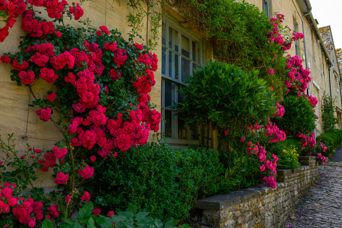 Burford, England - Cottages in the Cotswolds