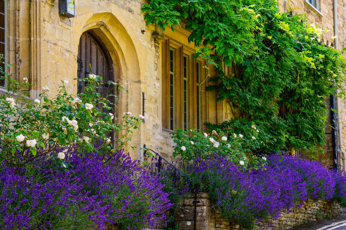Burford, England - Cottages in the Cotswolds