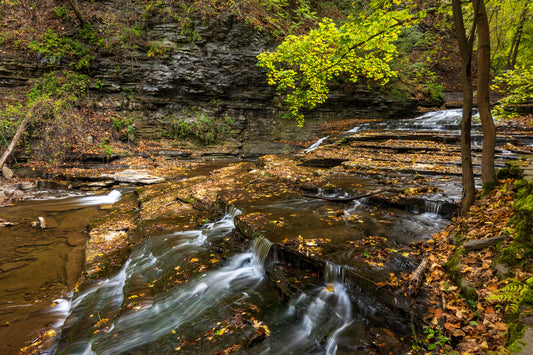 Cascadilla Gorge, Ithaca, New York
