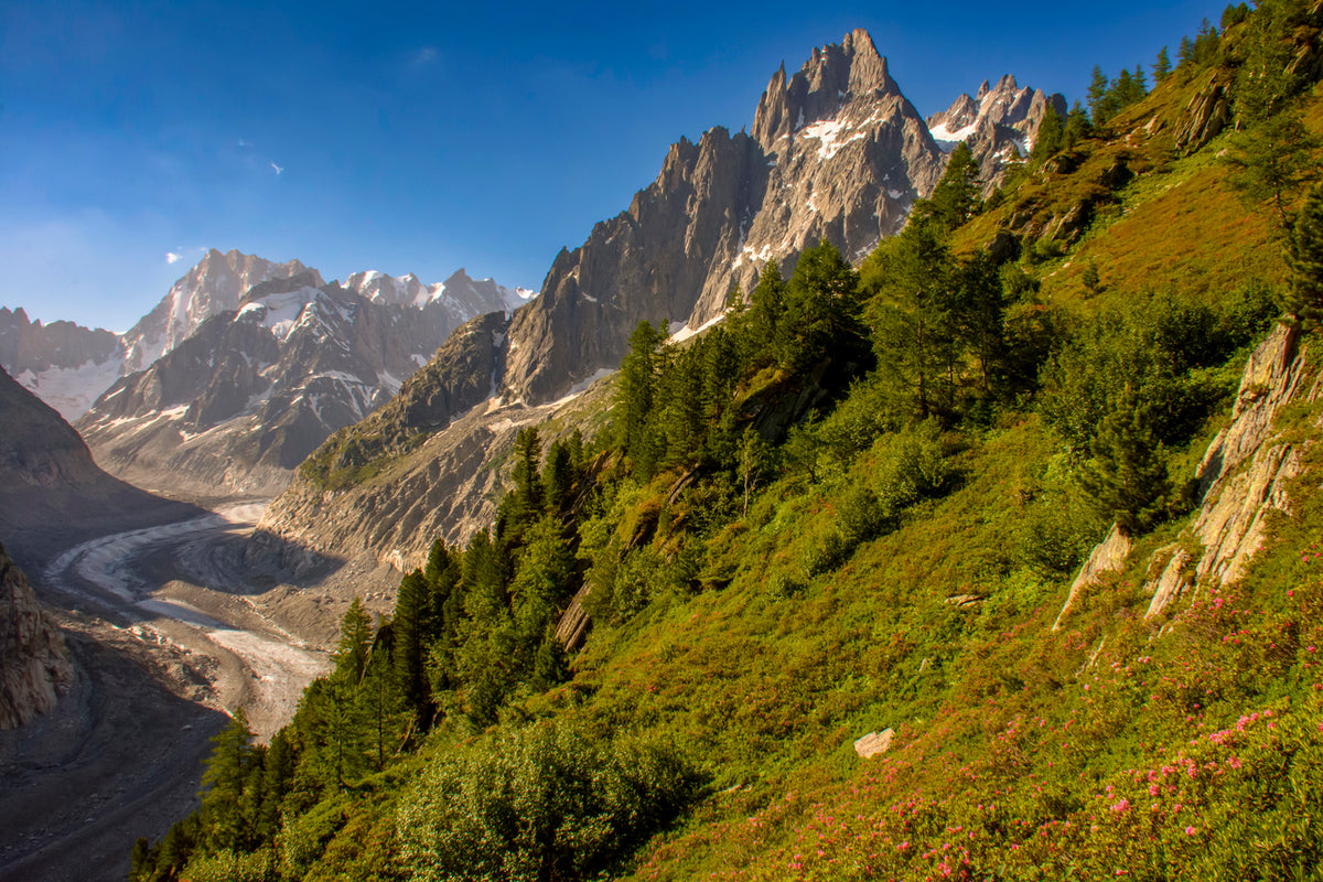 Mer de Glace, Chamonix, France
