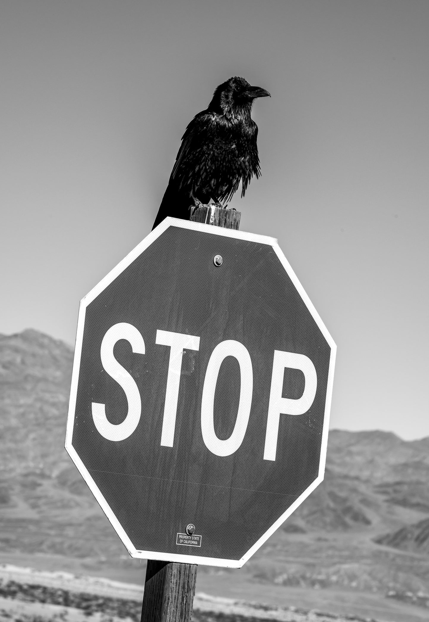 An Ominous Sign, Death Valley